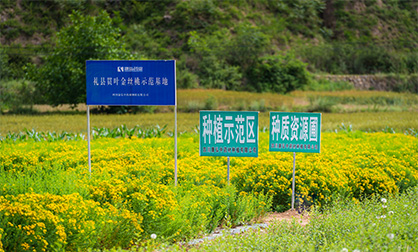 海洋之神·hy590(中国)最新官方网站