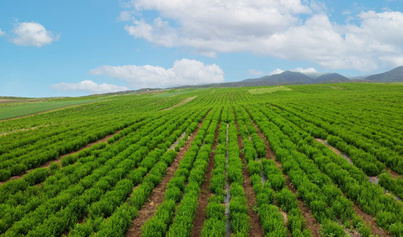 海洋之神·hy590(中国)最新官方网站