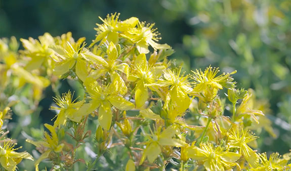 海洋之神·hy590(中国)最新官方网站