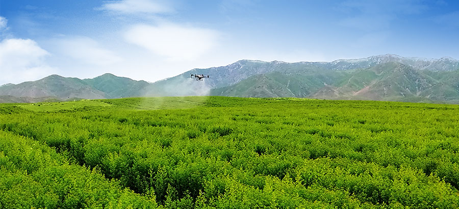 海洋之神·hy590(中国)最新官方网站